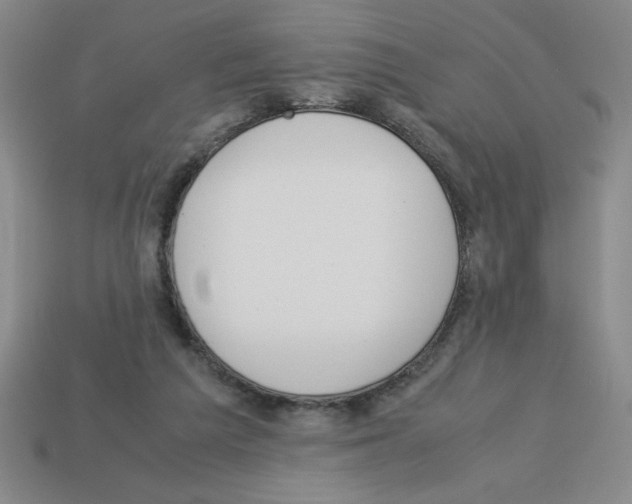 X0000112870209200910021339