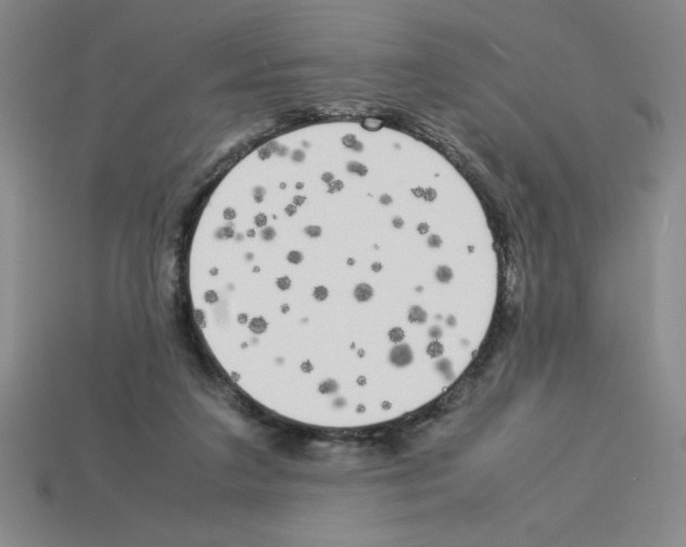 X0000112870211200910021339