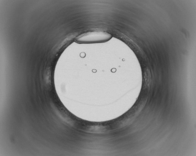 X0000112870212200910021339