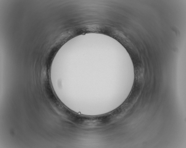 X0000112870213200910021339