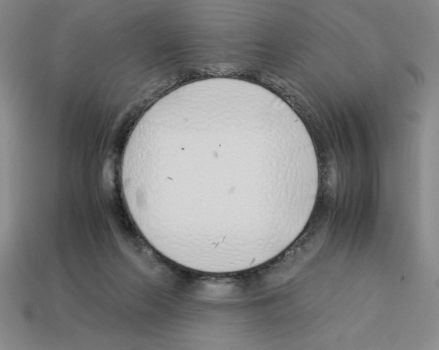 X0000112870214200910021339