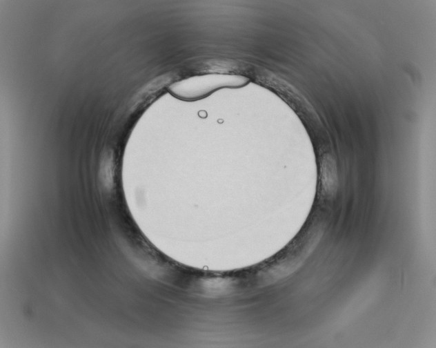 X0000112870216200910021339