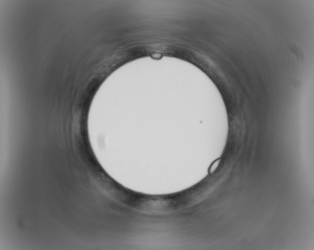 X0000112870217200910021339