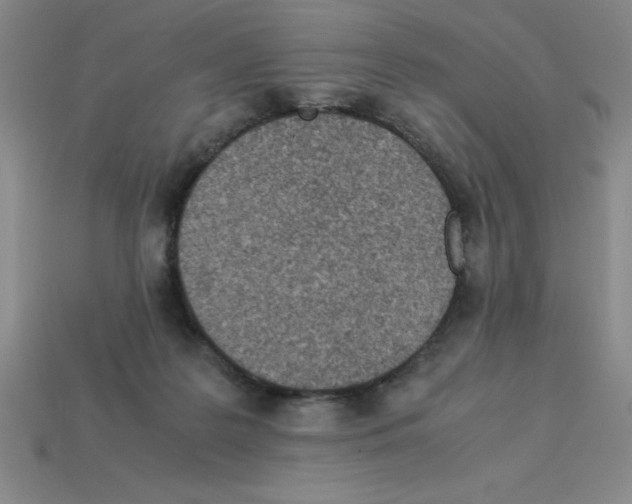 X0000112870219200910021339