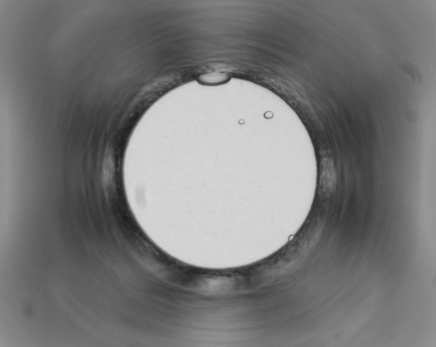 X0000112870220200910021339