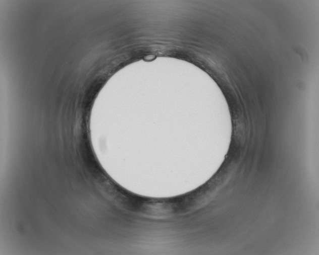 X0000112870221200910021339