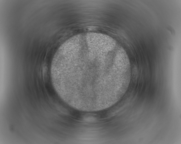 X0000112870222200910021339