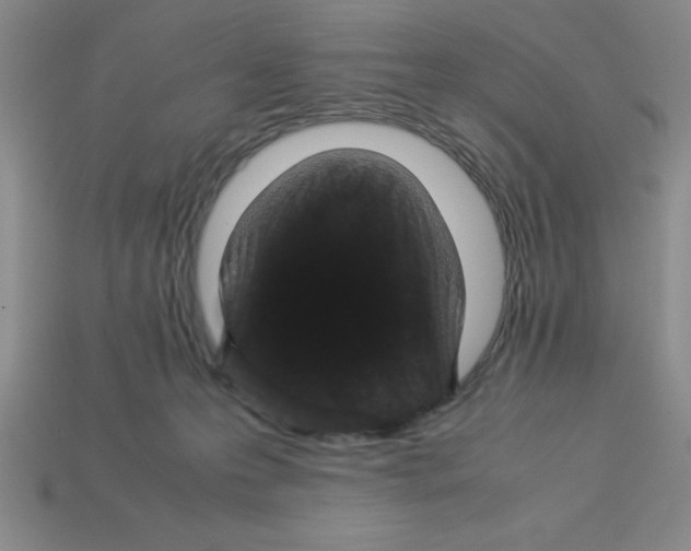 X0000112870223200910021339