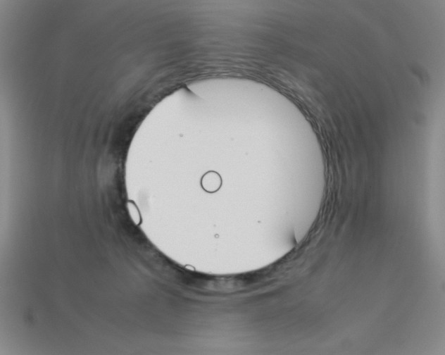 X0000112870225200910021339