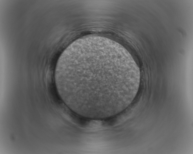 X0000112870227200910021339