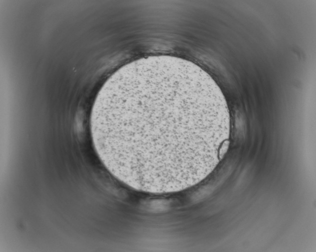 X0000112870228200910021339