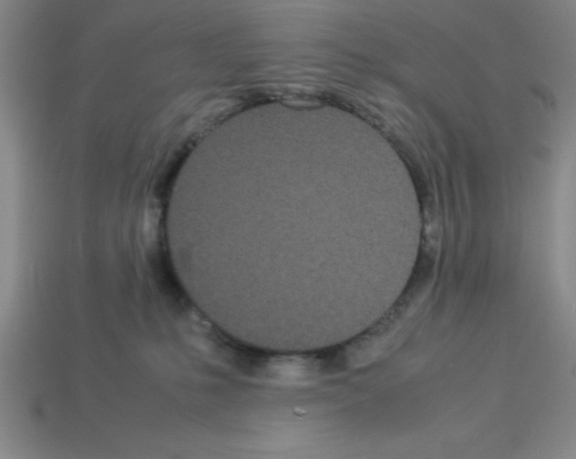 X0000112870231200910021339