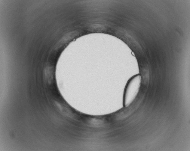 X0000112870232200910021339