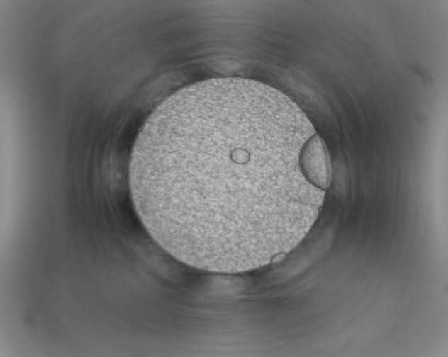 X0000112870234200910021339