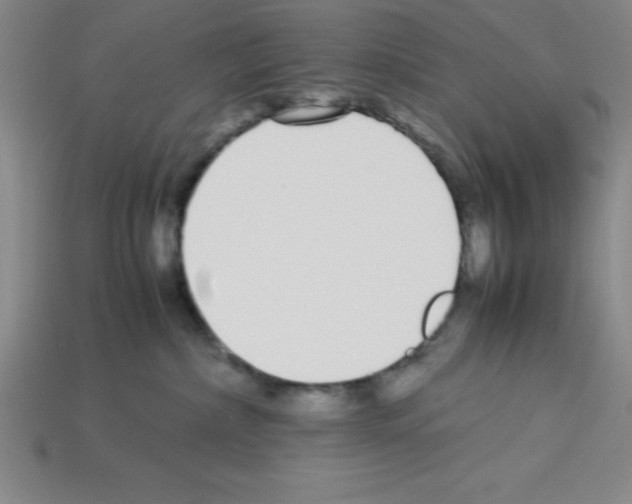 X0000112870236200910021339