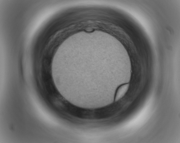 X0000112870239200910021339