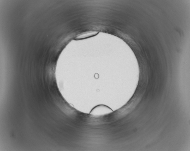 X0000112870240200910021339