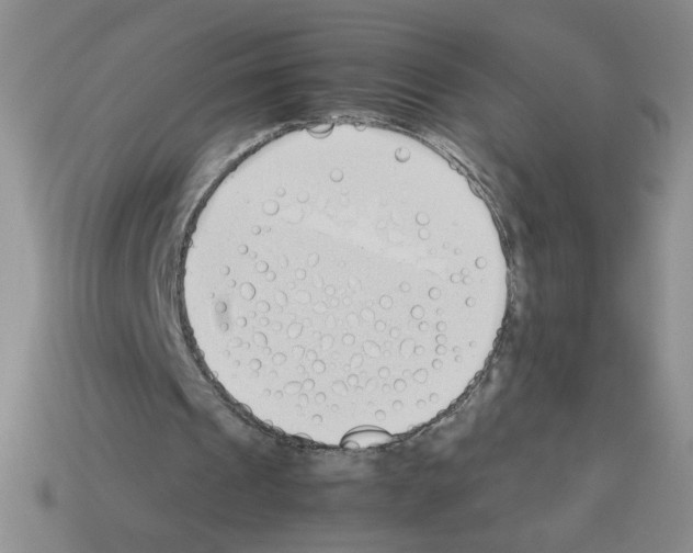 X0000112870241200910021338