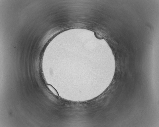 X0000112870242200910021338