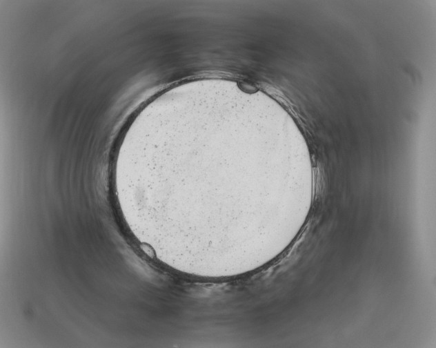 X0000112870243200910021338