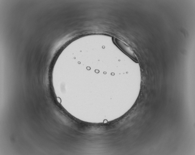 X0000112870248200910021338