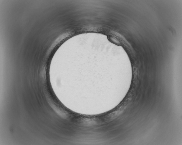 X0000112870250200910021339