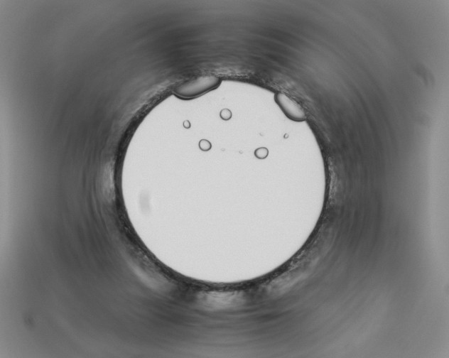 X0000112870251200910021339