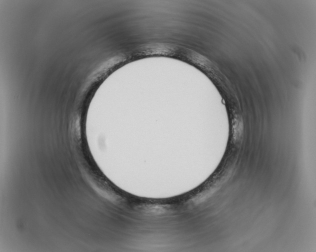 X0000112870254200910021339