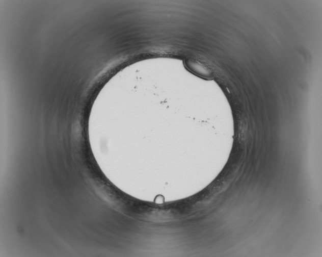 X0000112870256200910021339