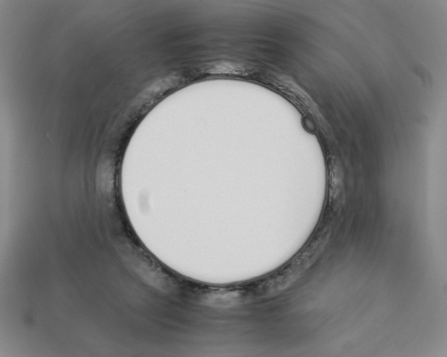 X0000112870257200910021339