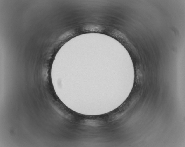 X0000112870259200910021339