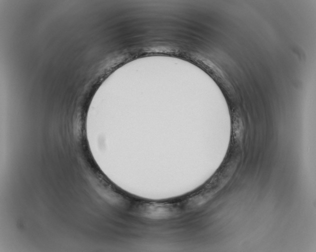 X0000112870261200910021339