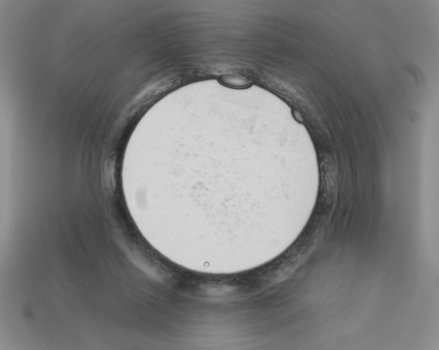 X0000112870262200910021339