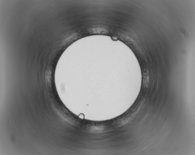 X0000112870263200910021339