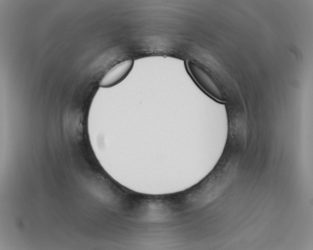 X0000112870264200910021339