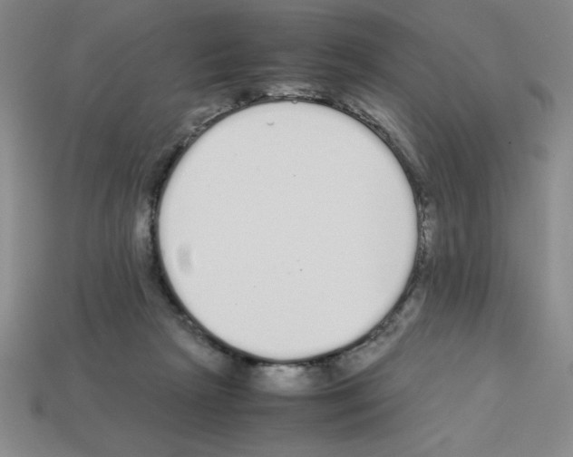 X0000112870265200910021339