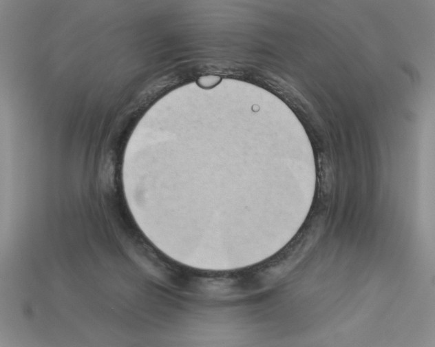 X0000112870266200910021339