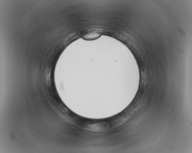 X0000112870267200910021339