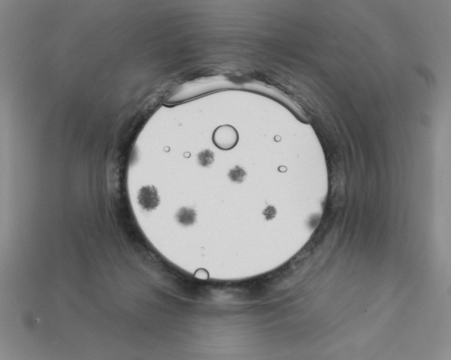 X0000112870268200910021339