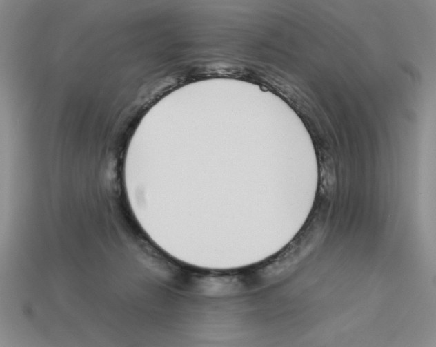 X0000112870270200910021339