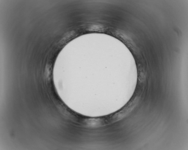 X0000112870273200910021339