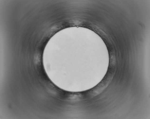 X0000112870274200910021339