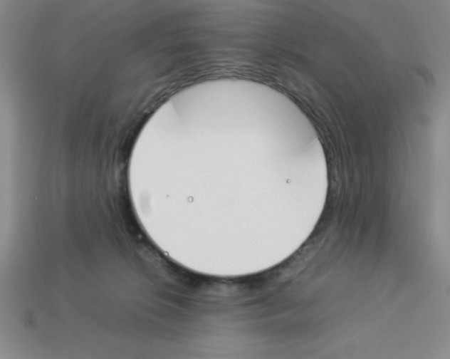 X0000112870276200910021339