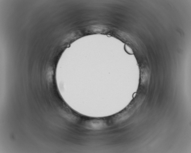 X0000112870279200910021339