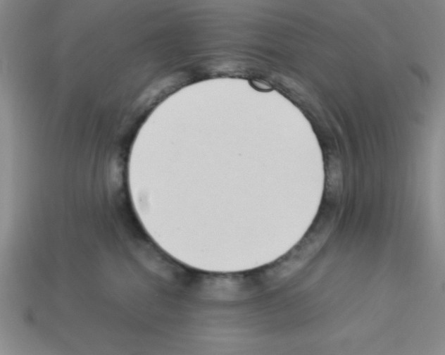 X0000112870282200910021339