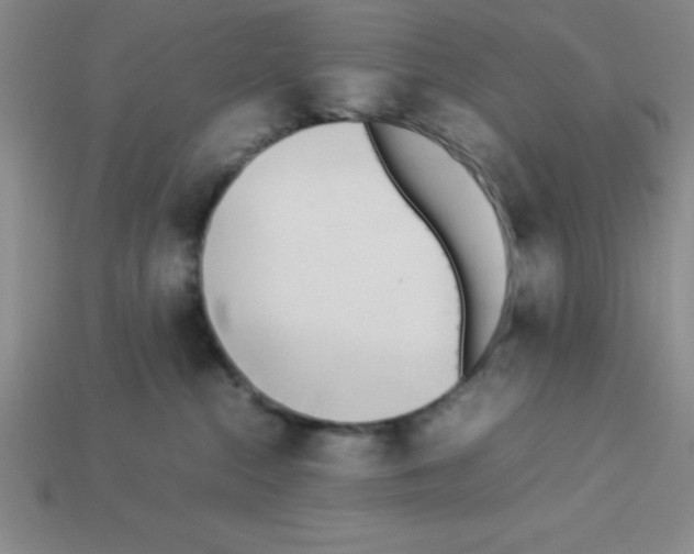 X0000112870284200910021339