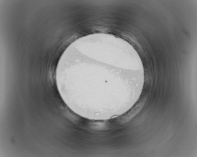 X0000112870285200910021339