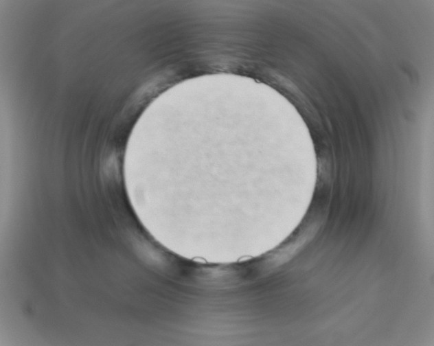 X0000112870286200910021339