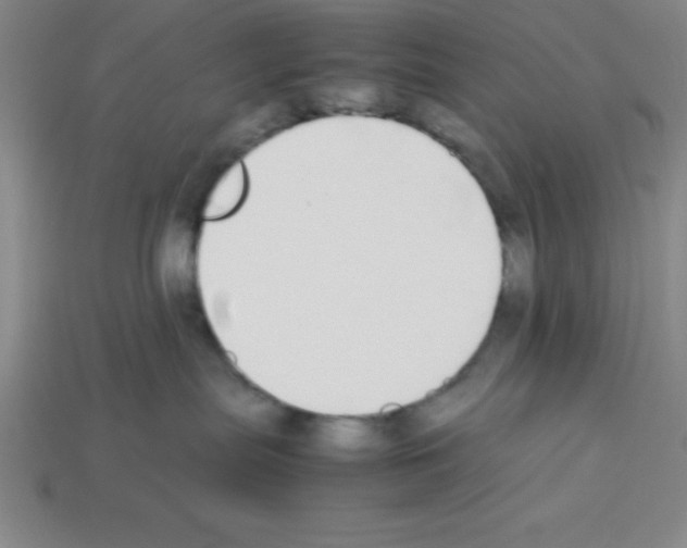 X0000112870287200910021339