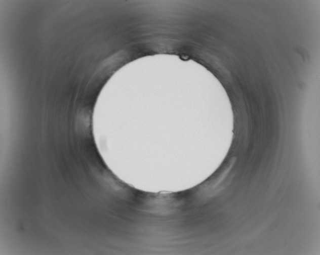 X0000112870288200910021339